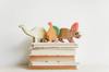 child plans for educations
