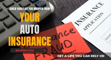 Driving Risks: Auto Insurance Drop