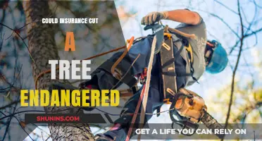 Endangered Tree Insurance: Cut or Cover?
