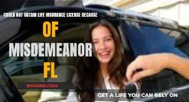 Life Insurance License: Misdemeanor Impact in Florida