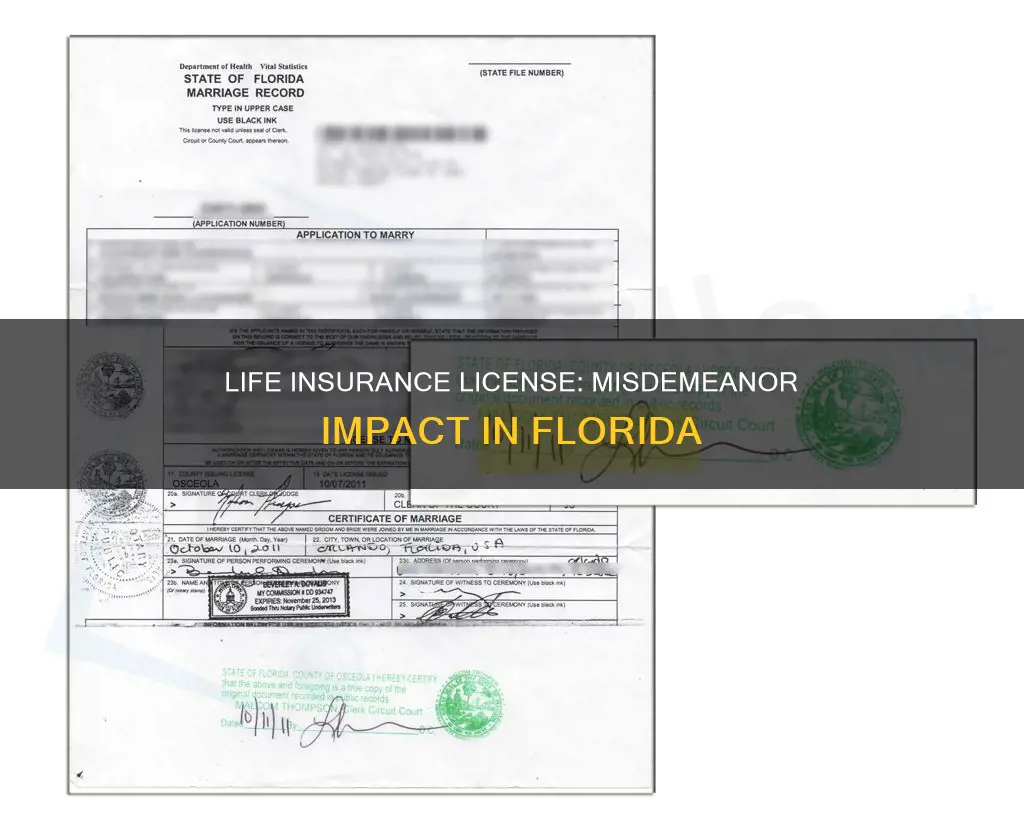 could not obtain life insurance license because of misdemeanor fl