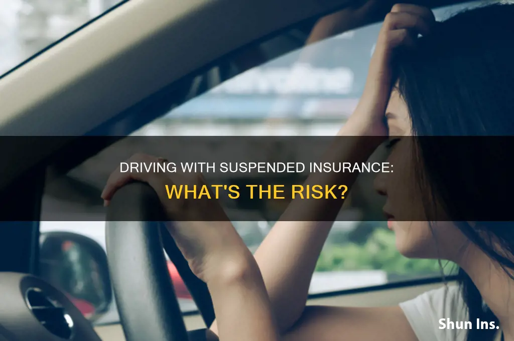 could you be stopped for suspended insurence