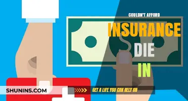 The Cost of Life: Uninsured and Unprotected