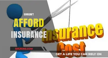 Insurance: A Luxury I Can't Afford