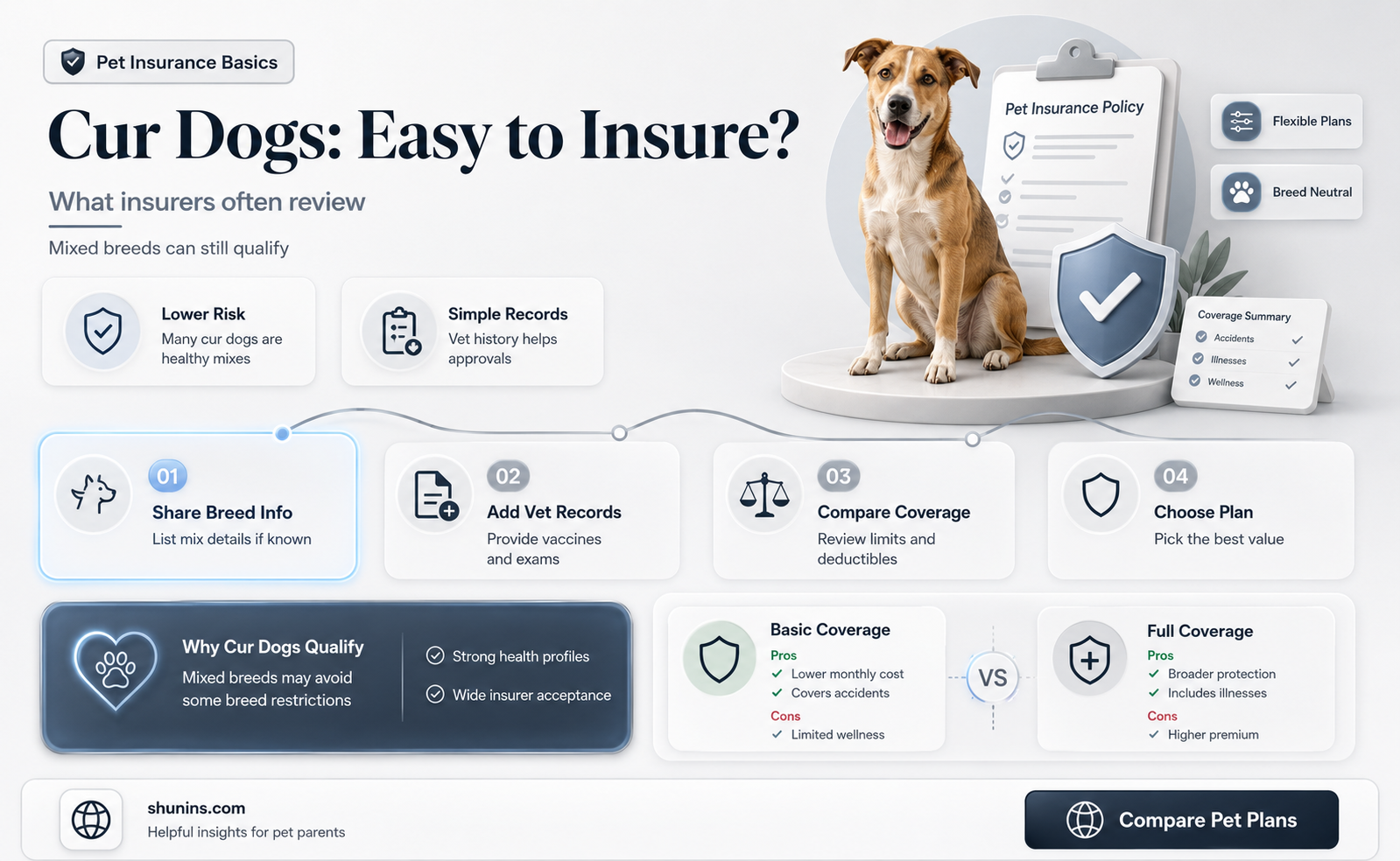 are cur dog easily insured