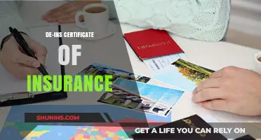 Insurance Certificate: De-ins and What You Need to Know