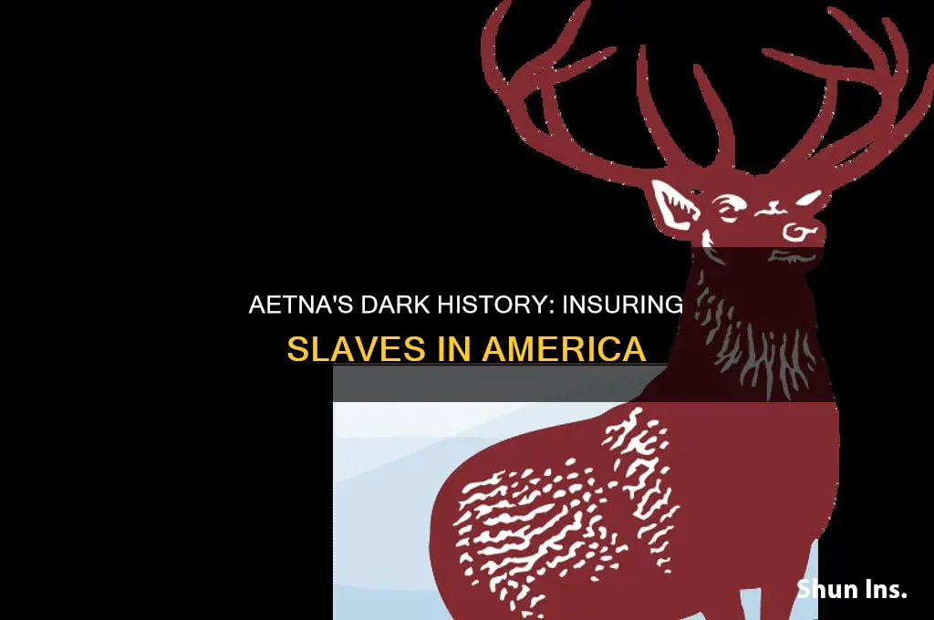 did aetna insure slaves