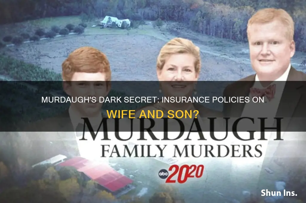 did alex murdaugh have insurance on his wife and son