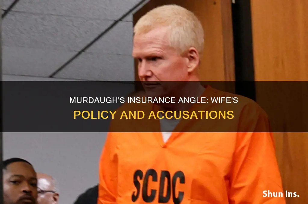 did alex murdaugh have insurance on his wife