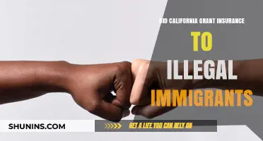 California's Insurance Coverage for Undocumented Immigrants