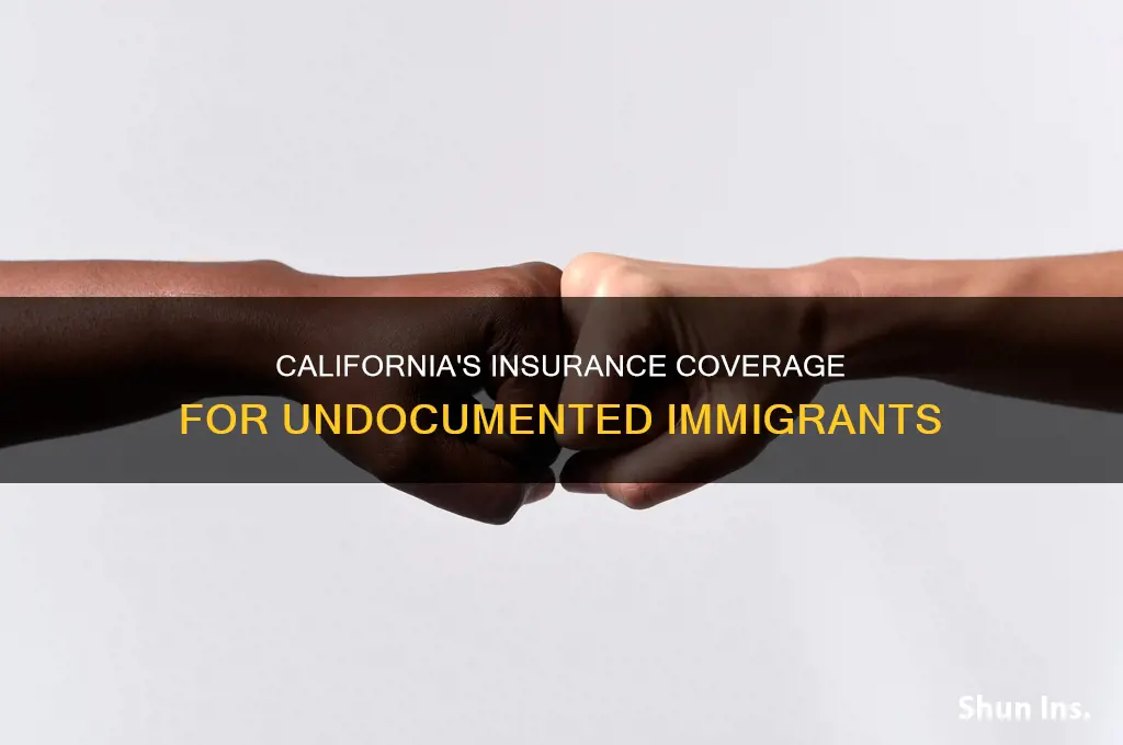did california grant insurance to illegal immigrants
