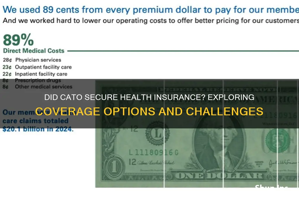 did cato find health insurance