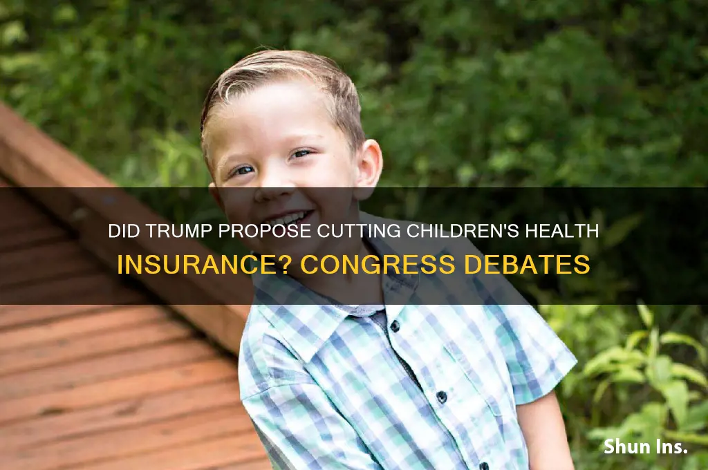 did donald trump ask congress to cut childrens health insurance