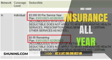 Insurance Coverage: Did You Have It All Year?