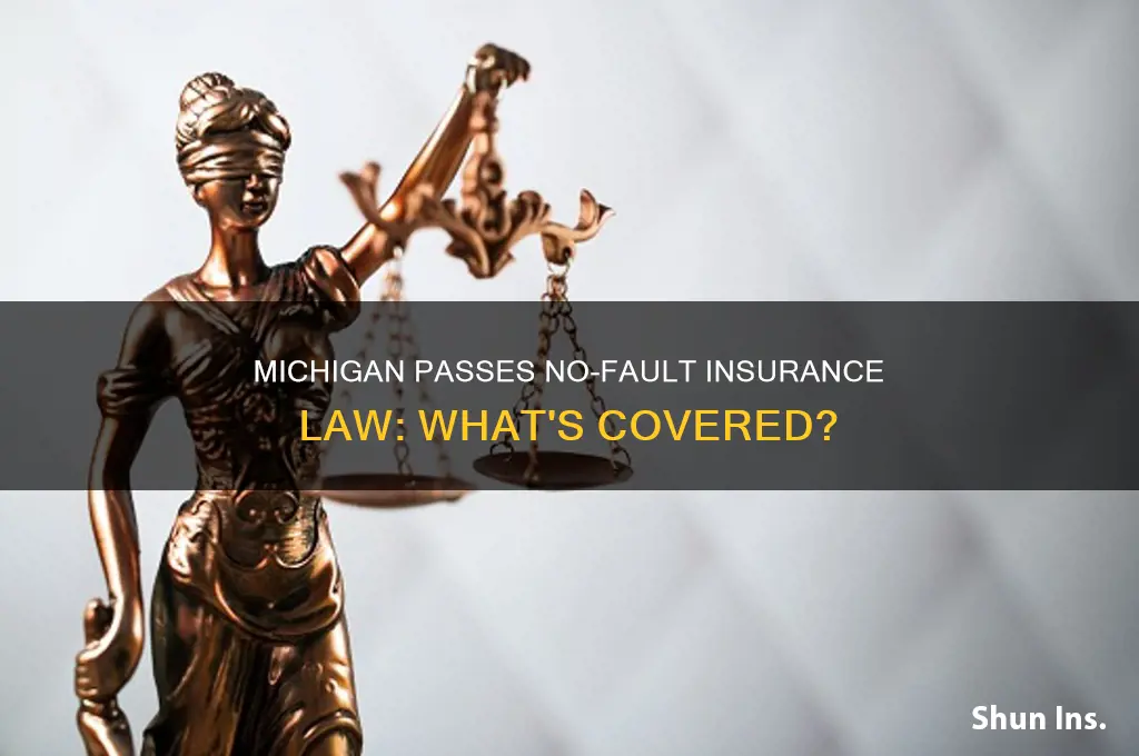 did insurance law in mi pass
