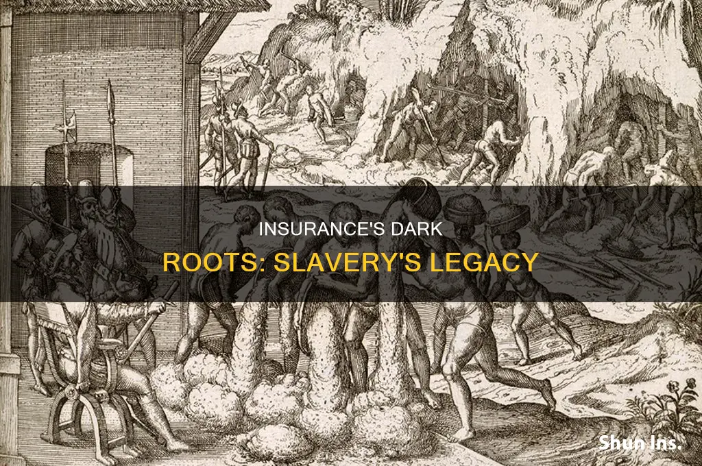 did insurance start from slavery
