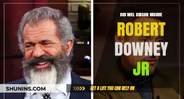 Mel Gibson's Support for Robert Downey Jr