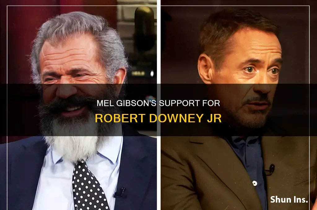 did mel gibson insure robert downey jr