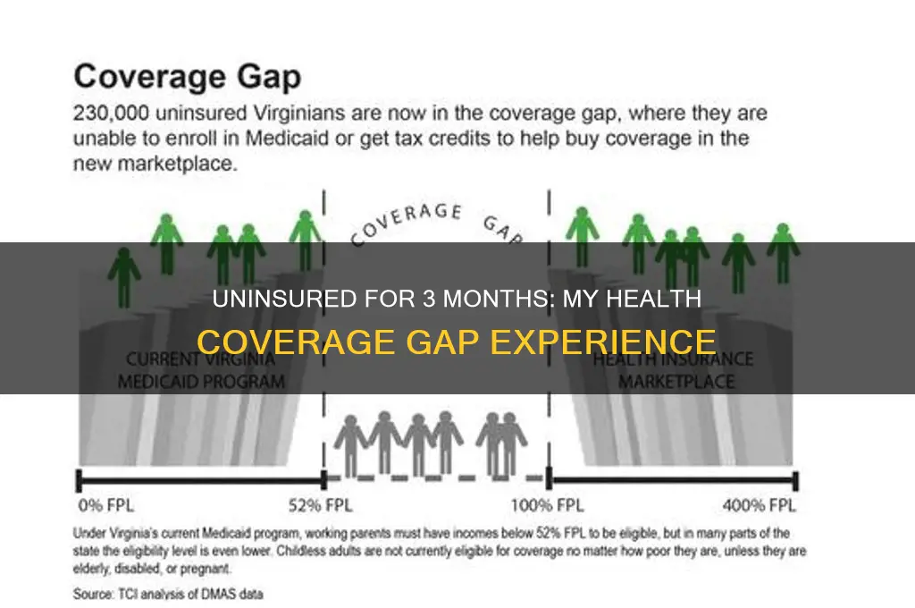 did not have health insurance for 3 months