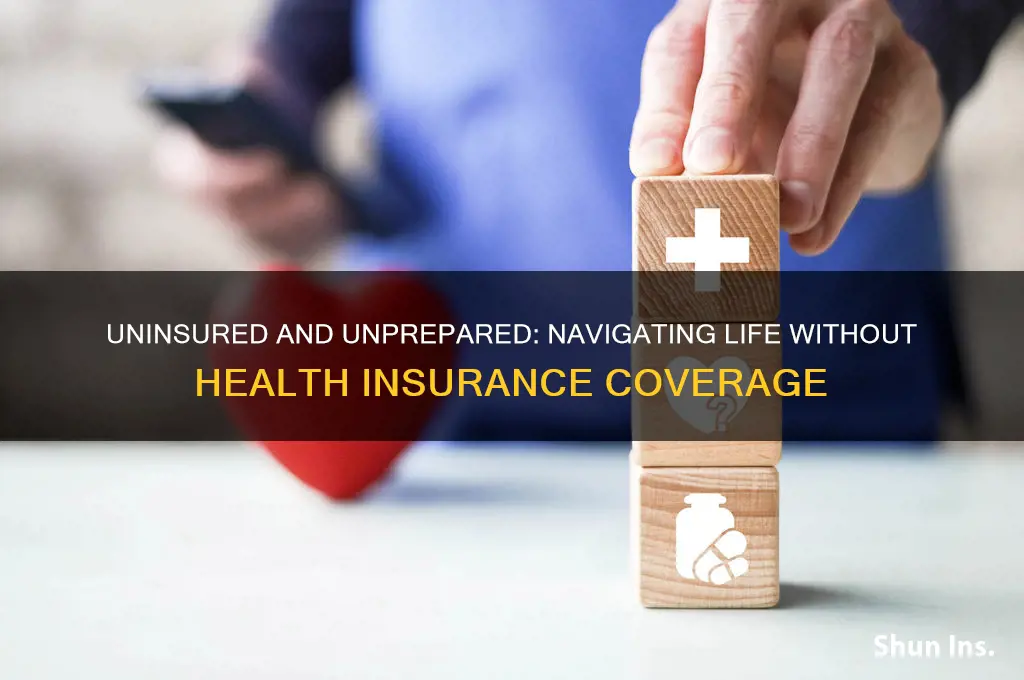 did not have health insurance