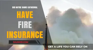 The Notre Dame Cathedral Fire: Was It Insured?