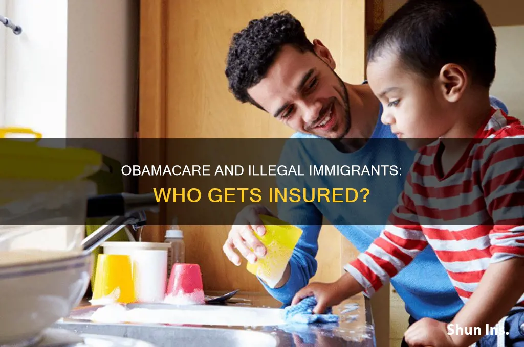 did or does obamacare insure illegal immigrants