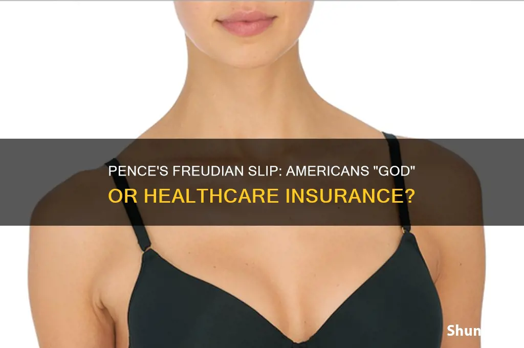did pence say amercians god instead of healthcare insurance