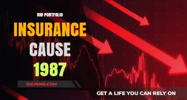 Portfolio Insurance: The 1987 Stock Market Crash Culprit?