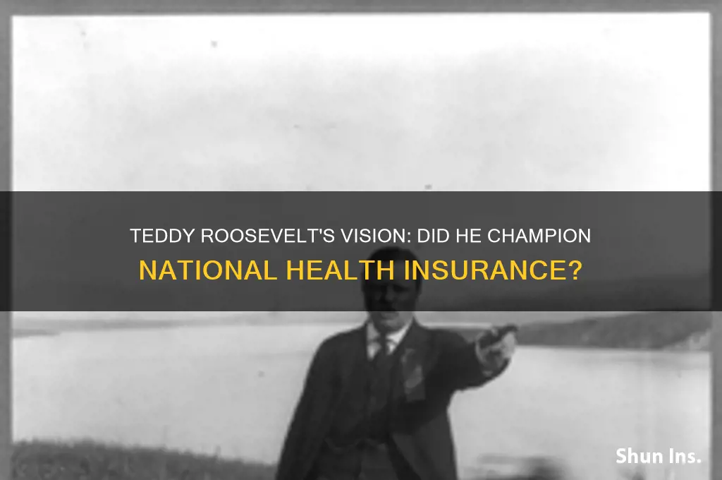 did teddy roosevelt run on national health insurance