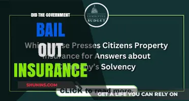 Insurance Industry Bailouts: Government Intervention in Focus