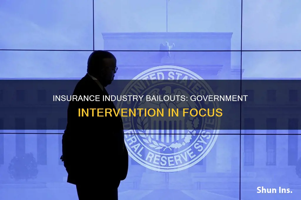 did the government bail out insurance