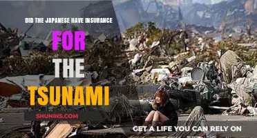 Japan's Tsunami Insurance: Preparedness, Coverage, and Recovery Insights