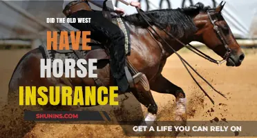 Horse Insurance in the Old West: Fact or Fiction?
