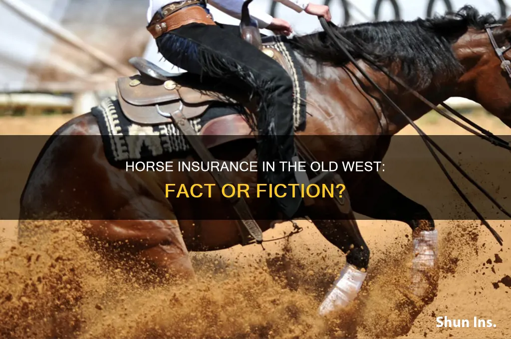 did the old west have horse insurance