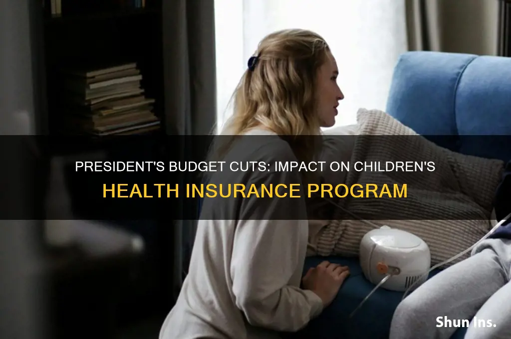 did the president cut from the childrens health insurance program
