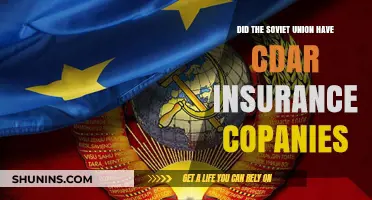 Soviet Union's Insurance System: Did State-Run CDAR Companies Exist?
