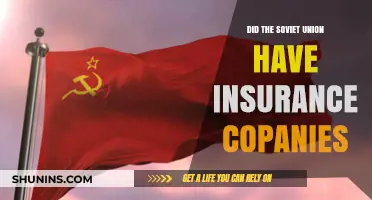 Soviet Union's Insurance System: State-Run or Private Companies?