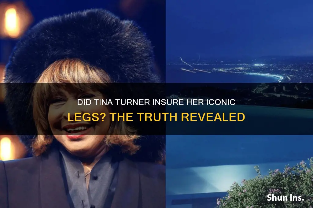 did tina turner insure her legs