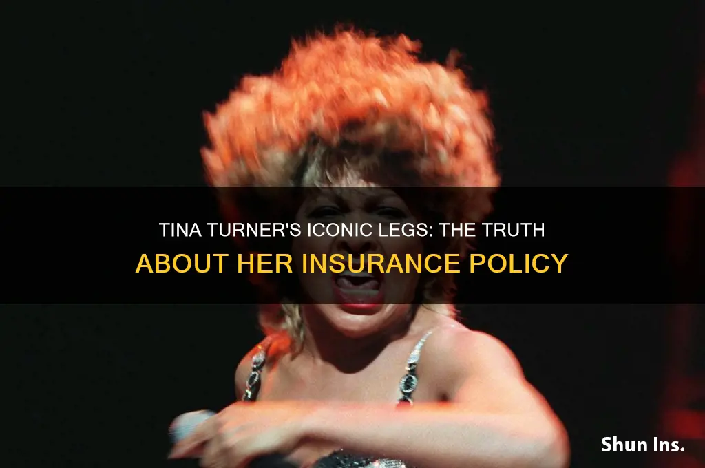 did tina turner insured her legs