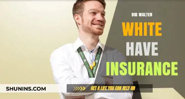 Walter White's Insurance: Breaking Bad's Unseen Financial Safety Net?