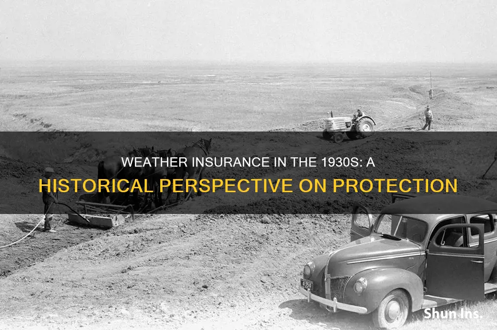 did weather insurance exist in the 1930