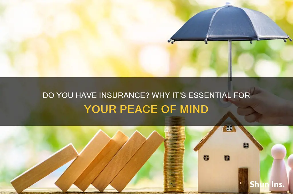 did you have insurance