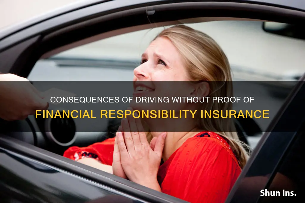 didn bring proof of financial responsibility insurance