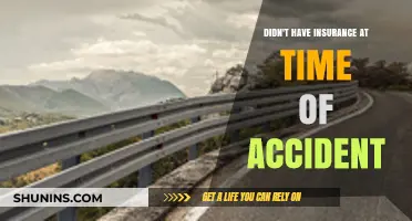 What to Do When You're Uninsured and in an Accident