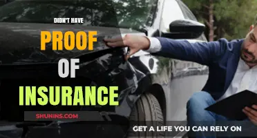 No Proof of Insurance: Consequences, Risks, and How to Avoid Penalties