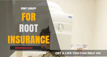 Why You Didn't Qualify for Root Insurance: Key Factors Explained