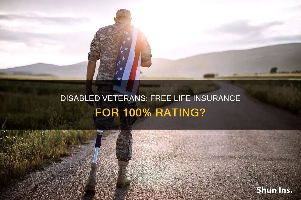 do 100 disabled veterans get free life insurance