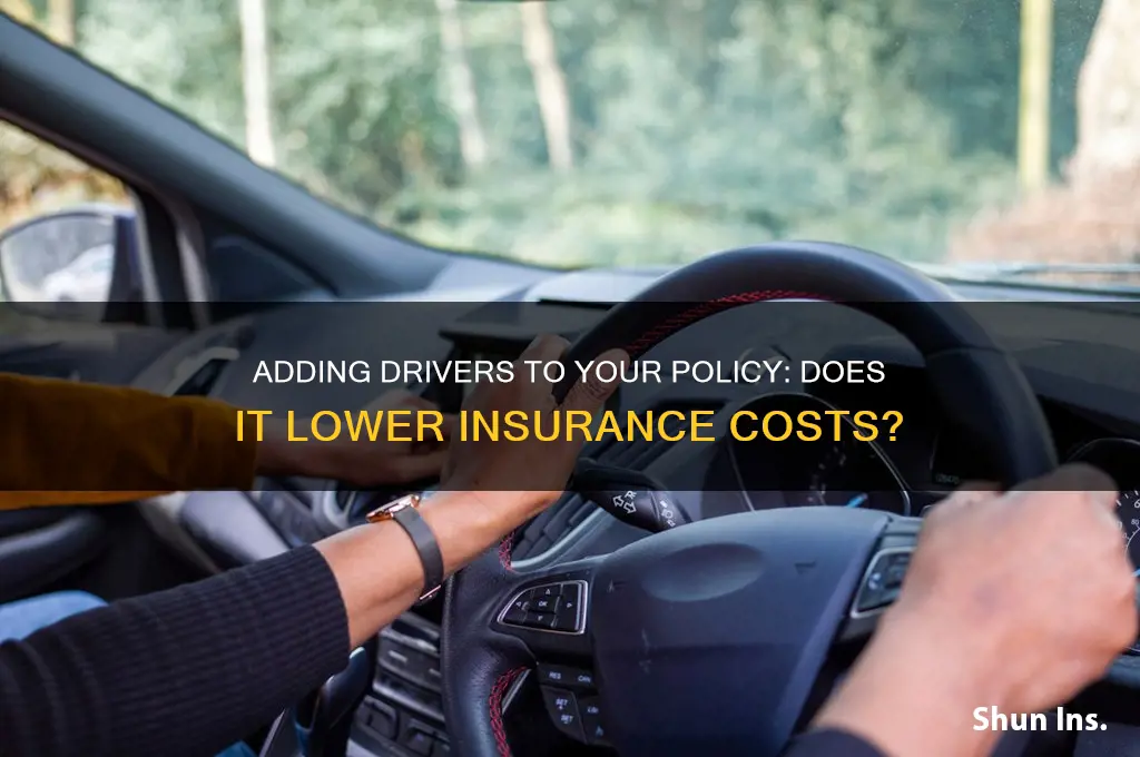 do additional drivers lower insurance