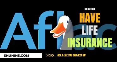 Aflac's Life Insurance: What You Need to Know