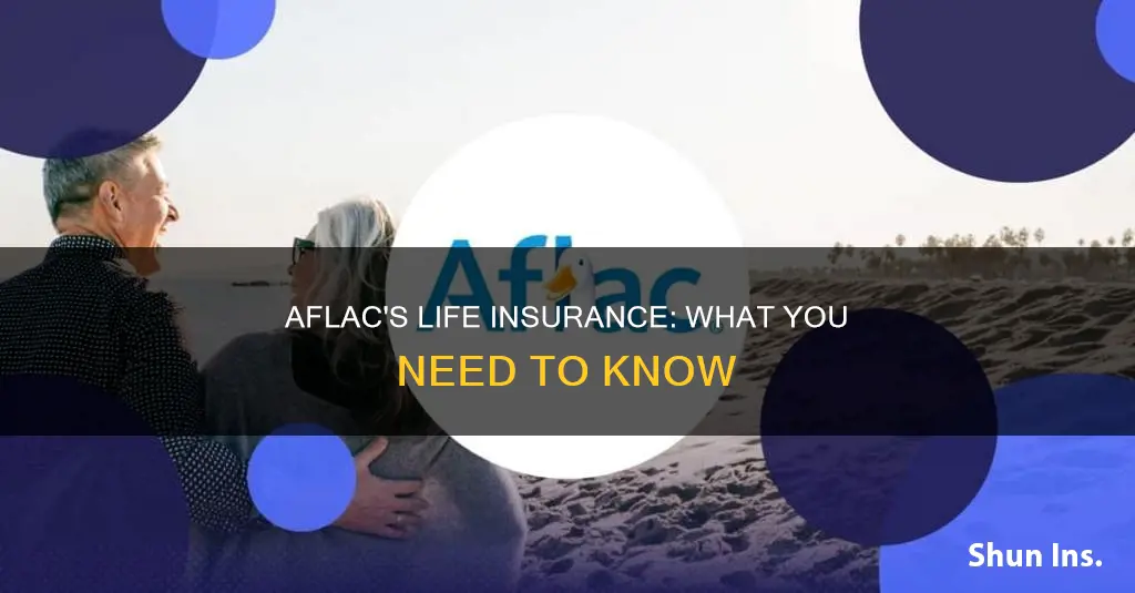 do aflac have life insurance